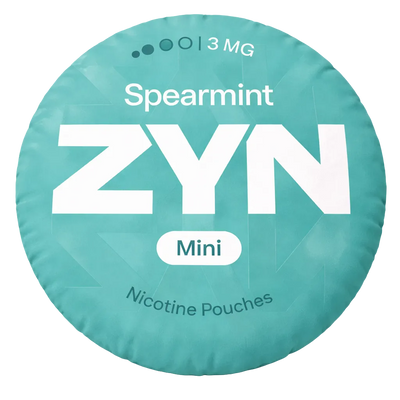 Pouchman Spearmint Pillow
